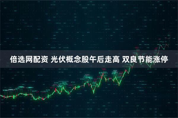 倍选网配资 光伏概念股午后走高 双良节能涨停