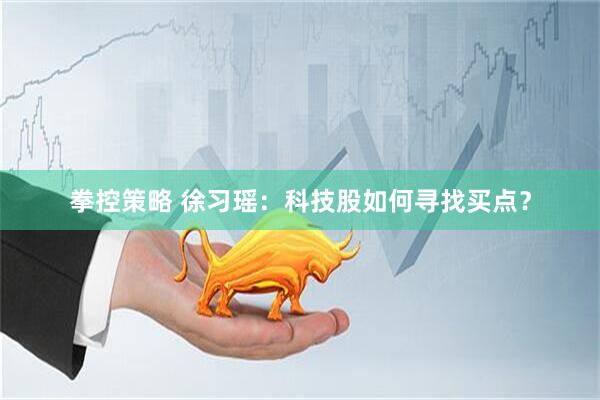 拳控策略 徐习瑶：科技股如何寻找买点？